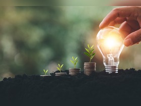 Bild von Energiesparlampe für optimales Pflanzenwachstum