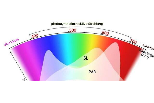PAR-Licht & -Wert ☀️ Photosynthetisch aktive Strahlung