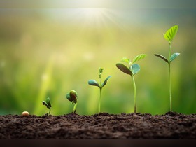 Bild von LED-Wachstumslampen für Pflanzen